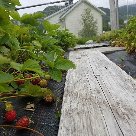 Leite Gard Near Atlantic Road In Hustadvika Lyngstad